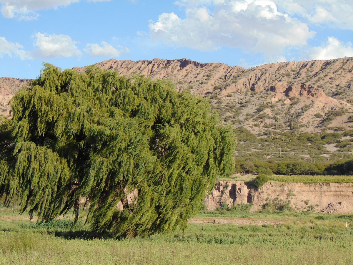 El Churqui Villa Humahuaca Esterno foto